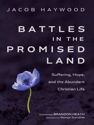 cover image of Battles in the Promised Land